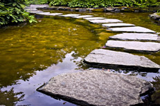 stepping-stone-small stepping-stone-small